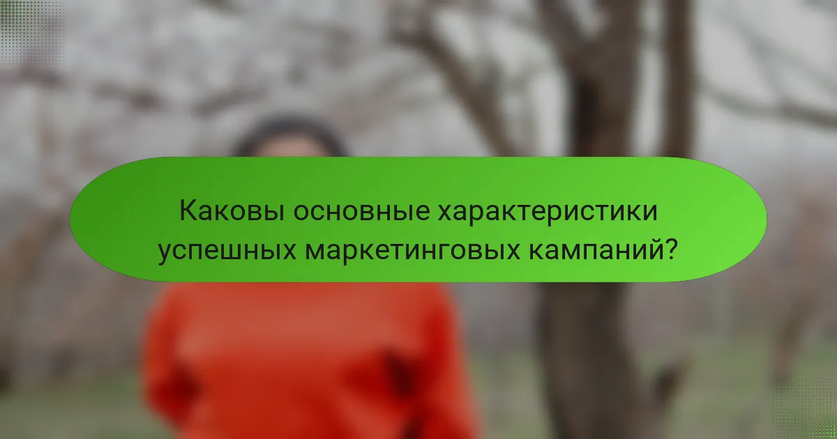 Каковы основные характеристики успешных маркетинговых кампаний?